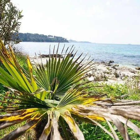 In With Terrace, Air Conditioning, W-lan 81-6 Rovinj